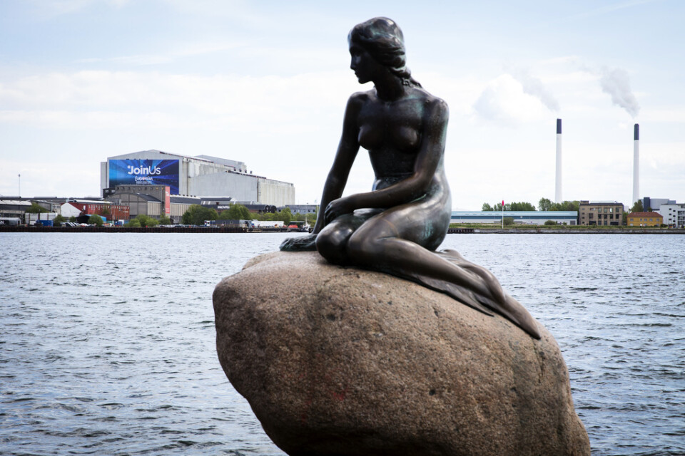 "Den lilla sjöjungfrun" i Köpenhamn är världskänd. Nu kräver upphovsmannen Edvard Eriksens arvingar att ett "plagiat" i danska Asaa genast förstörs. Arkivbild.