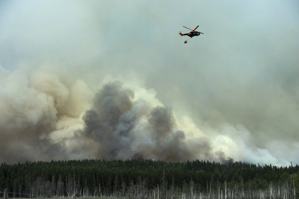 Mer än 14|000 hektar skog brann ned för fem år sedan. Nu döms ett företag till företagsböter på 2,5 miljoner kronor för att ha orsakat branden. Arkivbild.