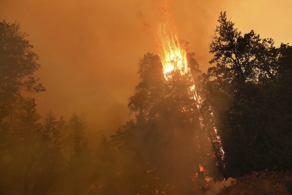 Antalet bränder spås bli fler i år jämfört med rekordåret 2019. Arkivbild.