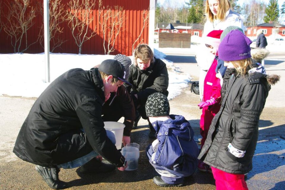Skolbarn räknar volym på udda föremål, som ljusstakar och muggar genom att doppa ned dem i vatten. Gymnasieelever från Wasaskolan i Tingsryd stod för undervisningen.