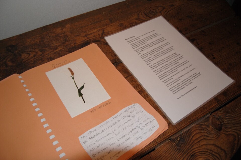Med herbarium menas torkade och pressade växter. I en samlingbok har barnen skrivit om växterna på Hovdala.