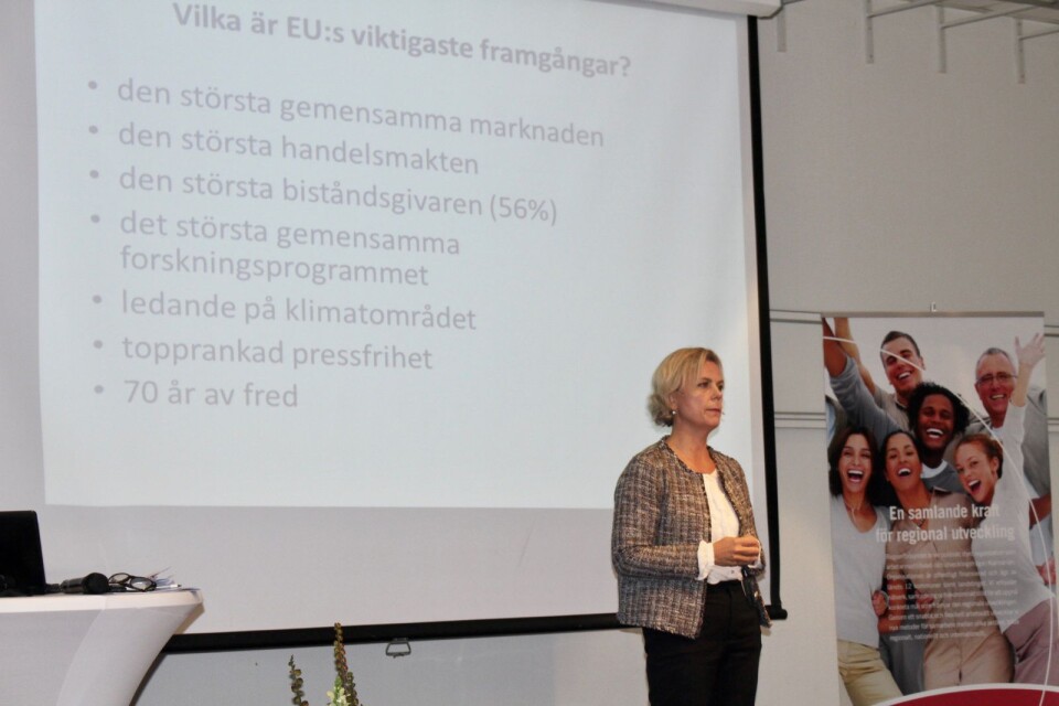 Katarina Areskoug Mascarenhas berättade om EUs situation med styrkor och svagheter.