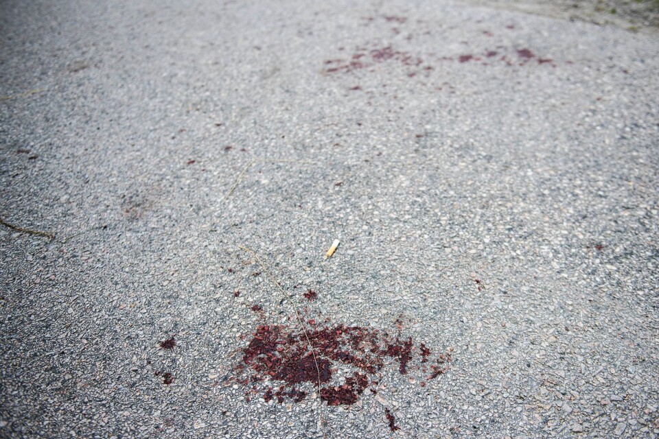 Blodfläckar vid den misstänkta brottsplatsen i Kungsmarken.