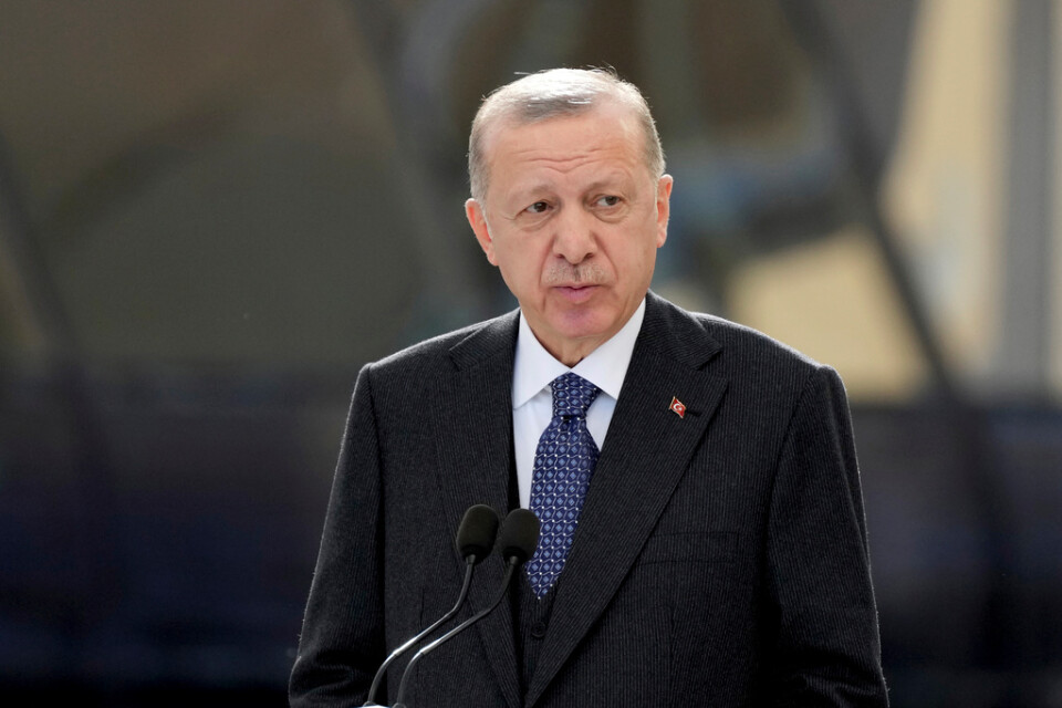 Turkiets president Recep Tayyip Erdogan anklagas för att tysta kritiker med förolämpningslagen. Arkivbild.