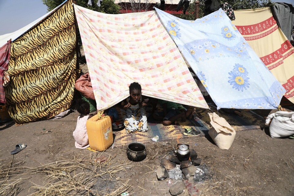 Flyktingar har tagit sig till Sudan från Tigrayregionen i Etiopien.