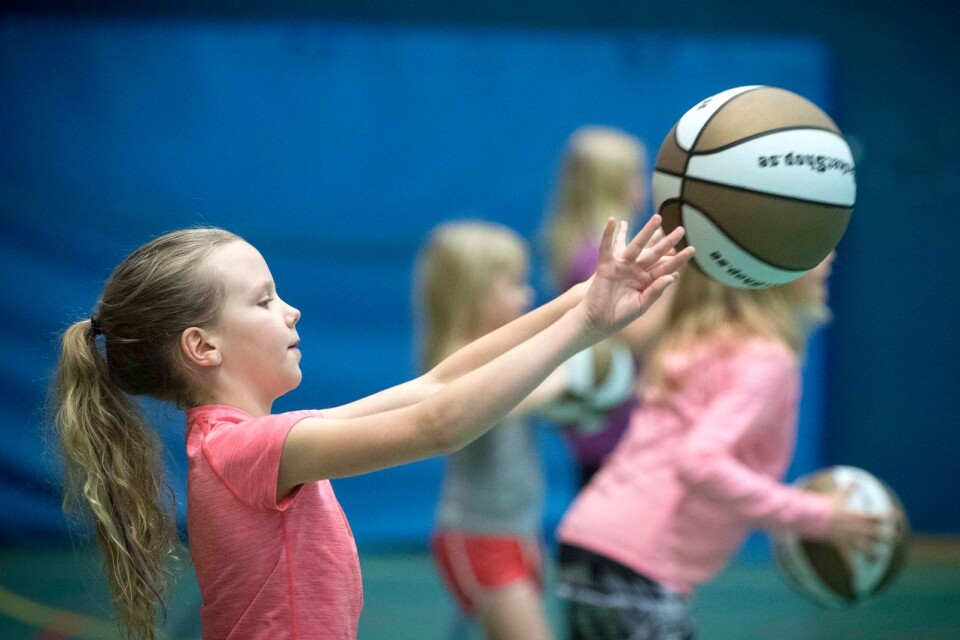 Är du tjej, går i klass 1-4 och vill lära dig spela basket? Ta med dig gympakläder till Ljungdala Mötesplats.