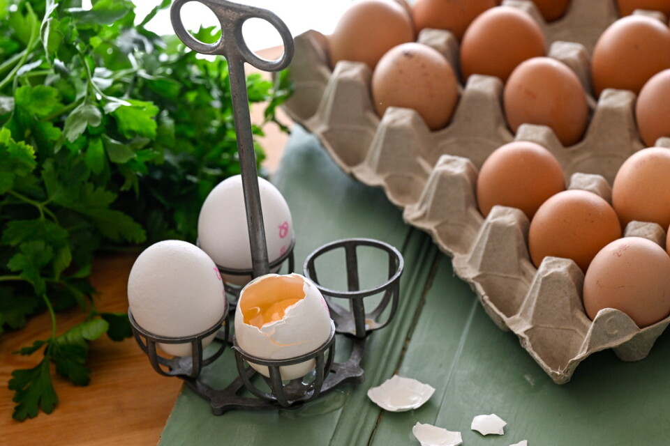Jordbruksverket ger tummen upp att köpa storproducentens ägg.