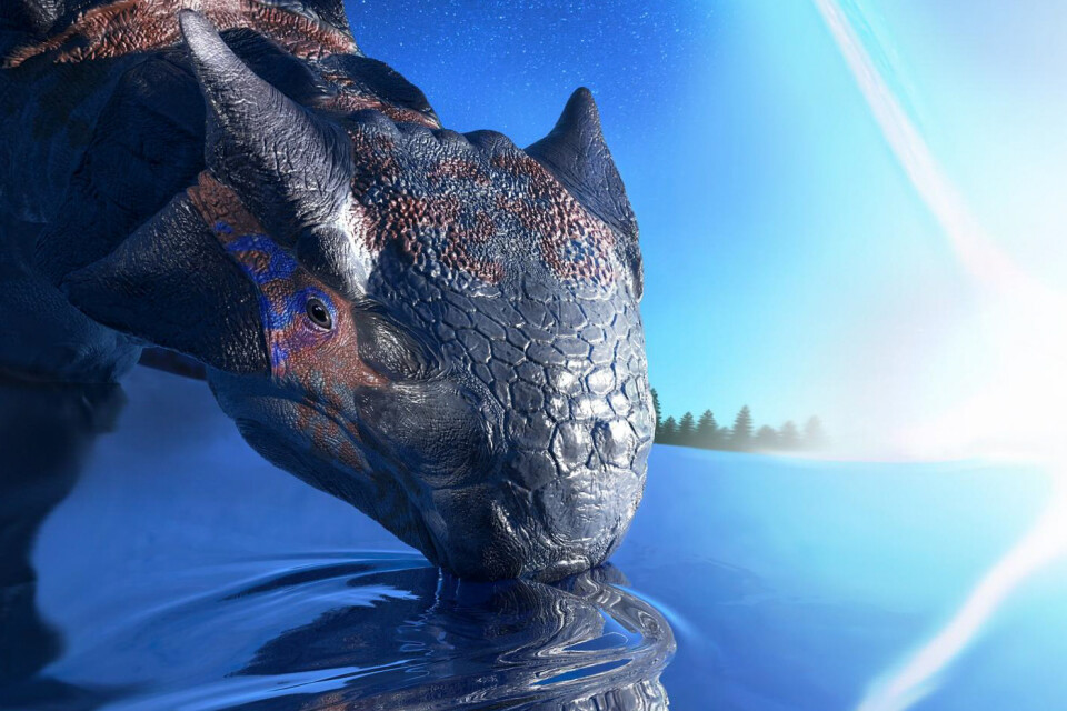 En pansardinosaurie tillhörande släktet Ankylosaurus blir vittne till jordens kollision med en asteroid för 66 miljoner år sedan.