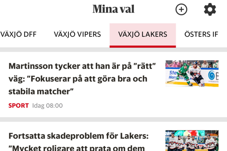 Växjö Lakers i minSMP