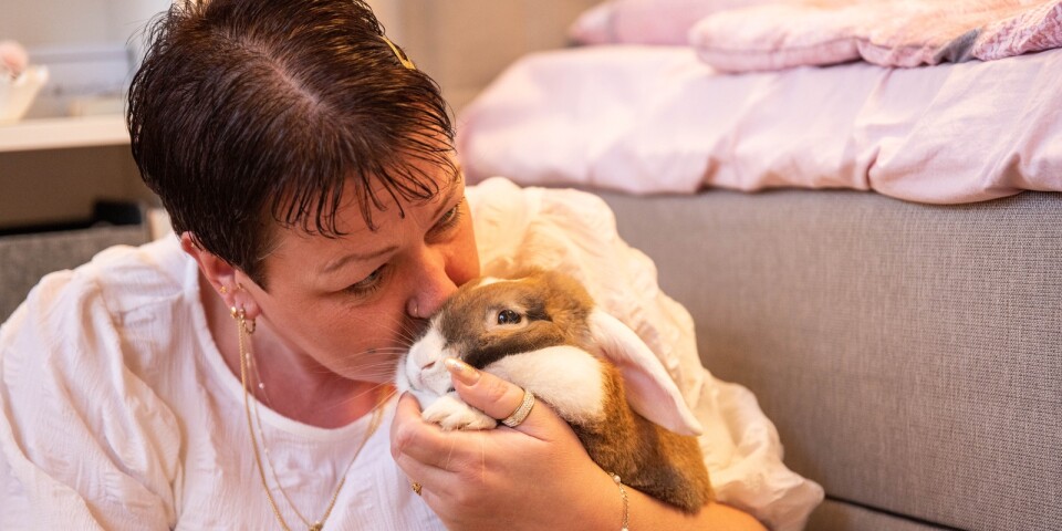 Kaninen Pyret har varit en viktig del i Anna Jönssons sorgeprocess sedan hon förlorade sin mamma.