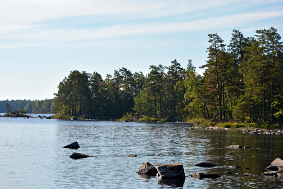 I dag är Hornsö en ekopark, dagens debattörers förslag är att stärka skyddet för området genom att göra Hornsö till en nationalpark.