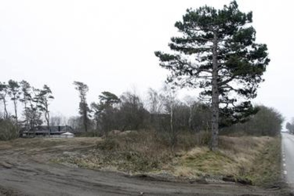 Någon har röjt ett stort område norr om Kustvägen strax väster om Tivolihusen. Bild: Tomas Nyberg