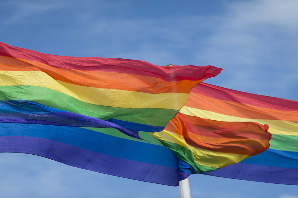 Botswanas högsta domstol har beslutat att homosexualitet ska avkriminaliseras i landet. Arkivbild.
