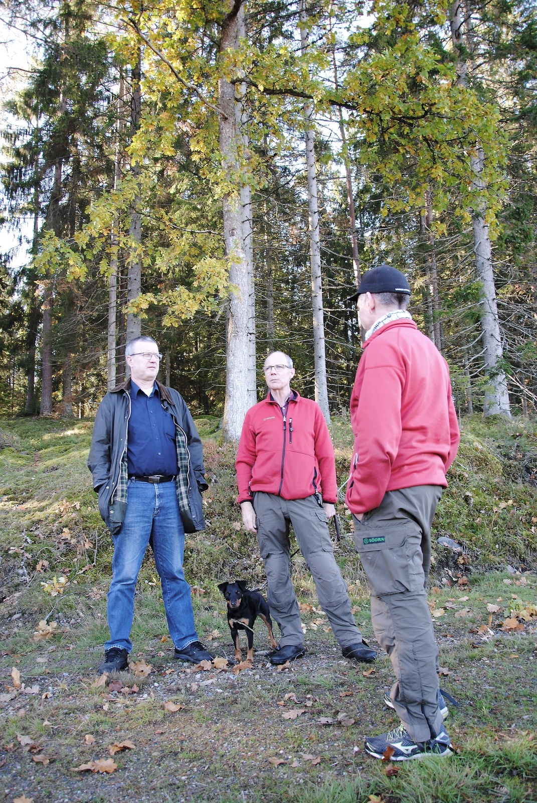 Anders Edbro, LRF, Thomas Folkesson, skogsinspektör, och  Roger Nordlund, Södra skogsägarna berättar att blandskog ger mer mat i form av ljung och blåbärsris åt viltet.
FOTO: SUSANNE GÄRE