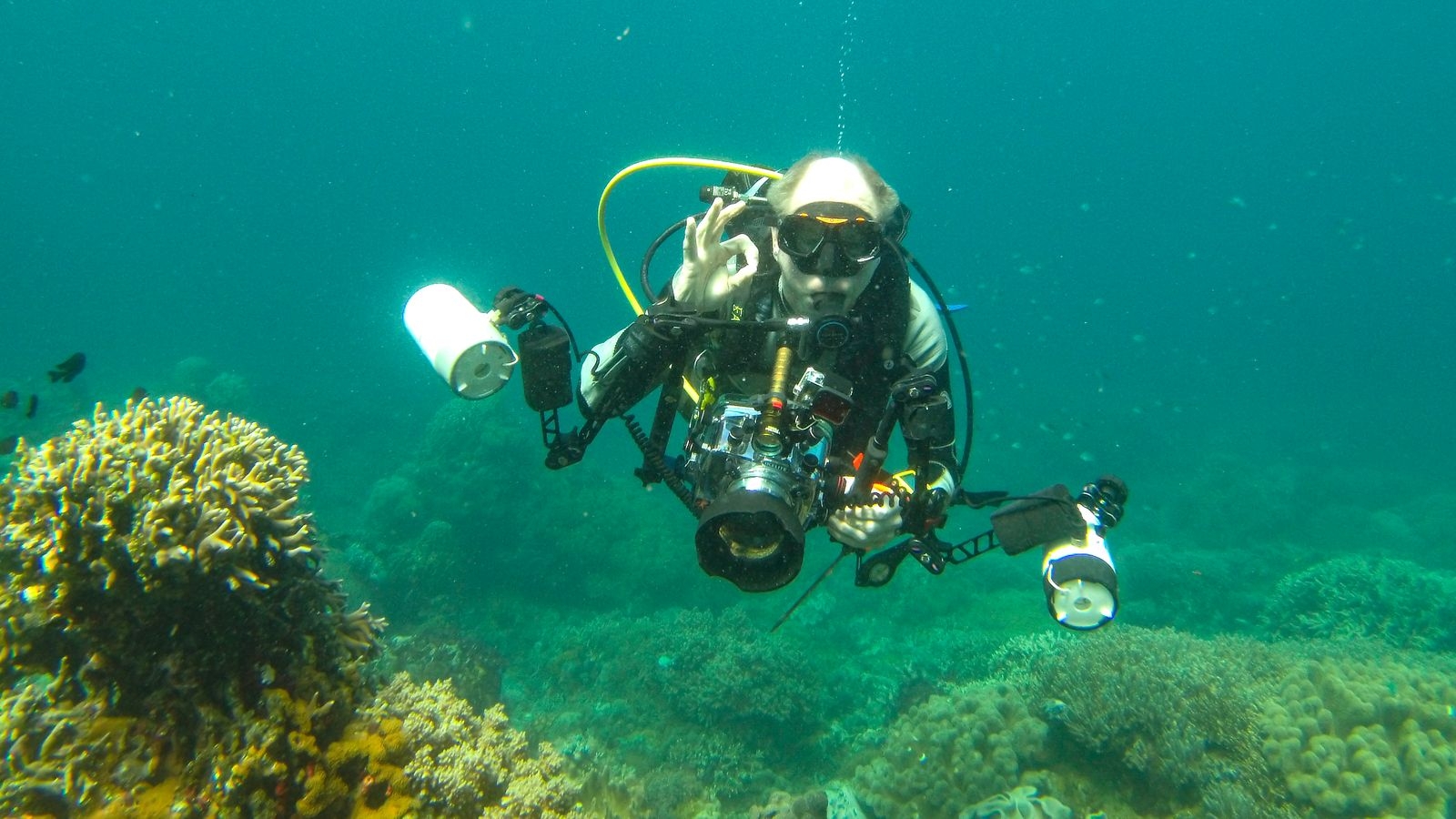 Erik dyker i Filipinerna, Apo island