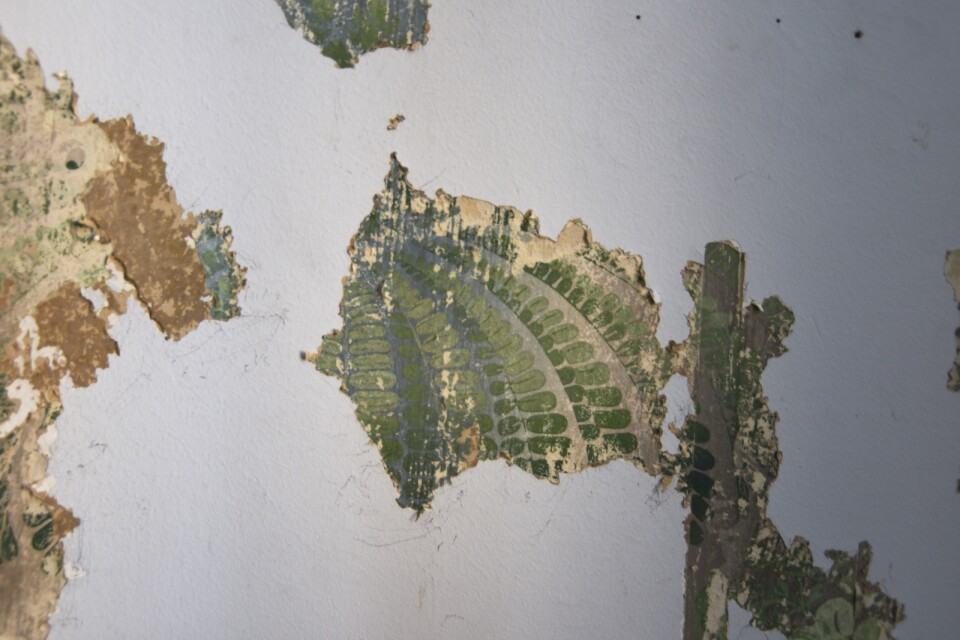 Framtagna fragment av gamla iristapeter i en av salarna på herrgården.