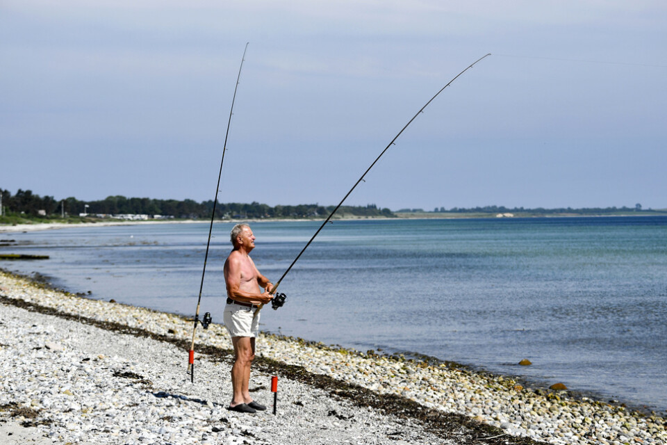 En turist från Tyskland fiskar utanför hamnen vid Ballen på Samsø i i Danmark. Arkivbild från juni 2018.