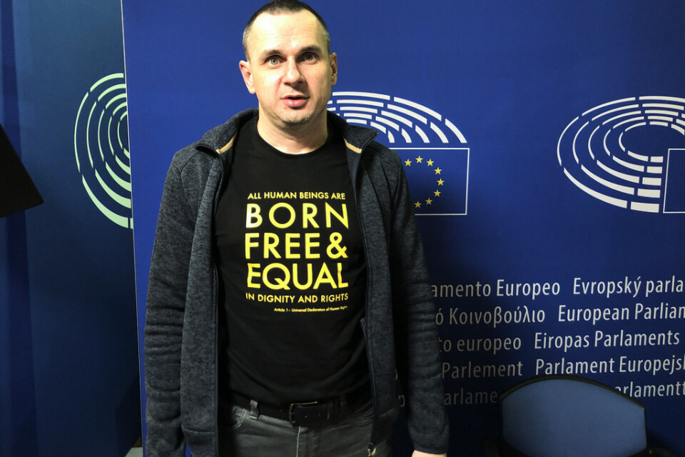 "Född fri och jämlik", är budskapet på Oleg Sentsovs tröja i EU-parlamentet i Strasbourg.