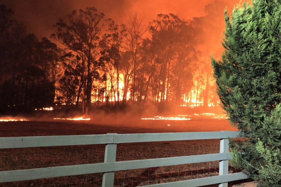 Omkring 2|000 brandmän och frivilliga kämpar mot fler än 100 bränder i New South Wales.