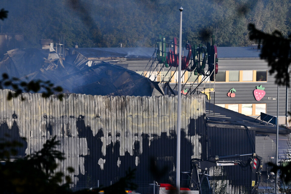 Räddningstjänsten kan inte rädda den 5000 kvadratmeter stora industrilokalen som kommer att brinna ned.