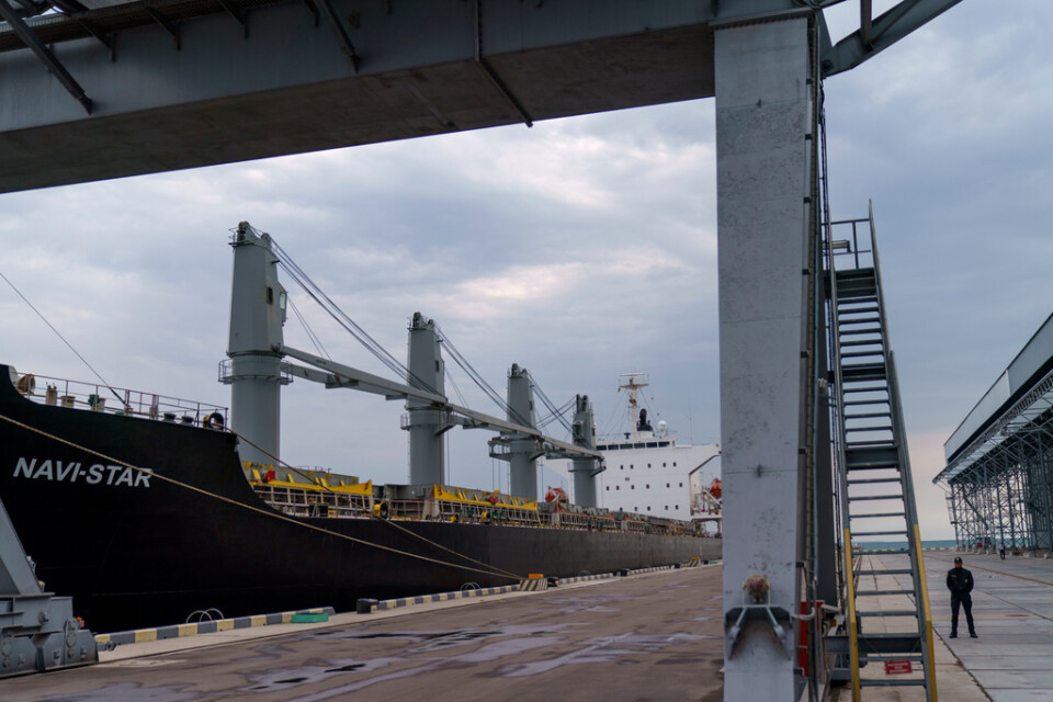 Fartyget Navi-Star har stått vid hamnen i Odessa, fullastat med spannmål, sedan storinvasionen inleddes i februari.