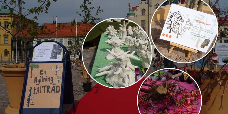 Förskolebarnens hyllning till träd på Stortorget: ”Kreativitet som inspirerar”