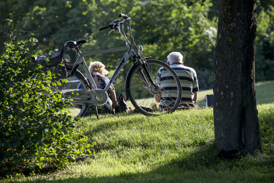 Om vädret tillåter kan en picknick i det gröna var helt rätt just i dag.