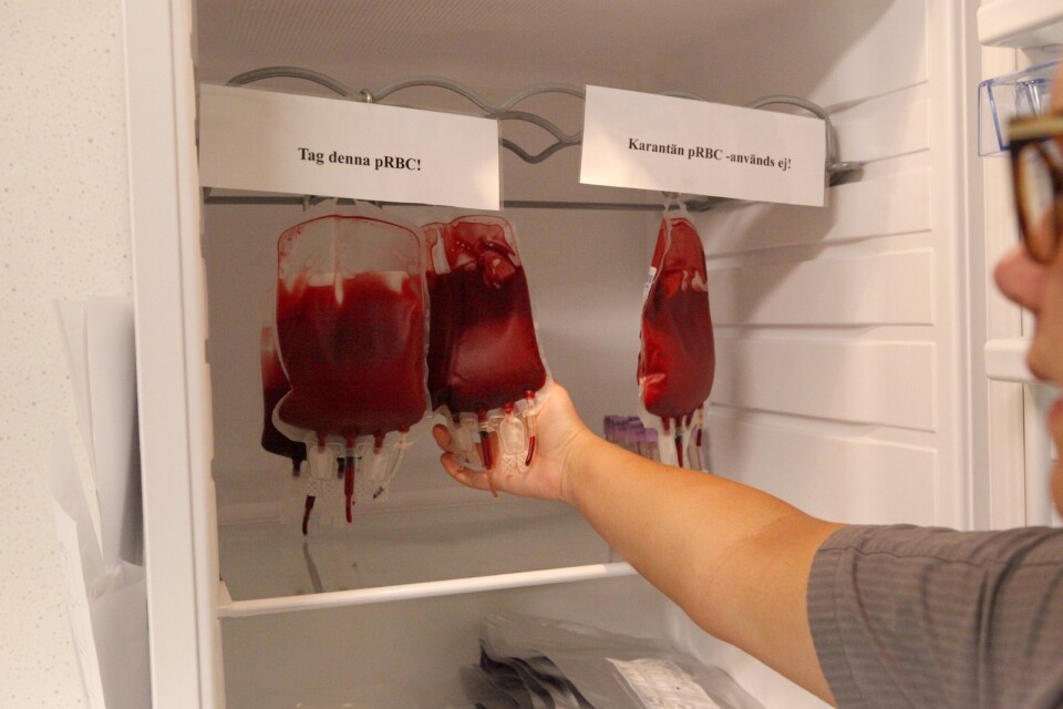 Påsen med blodkroppar sparas i ”blodkylen” i 42 dagar medan påsen med plasma fryses ner och lagras i max ett år.