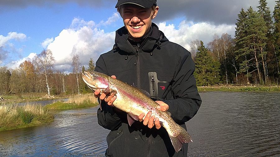 Anton Blomqvist på Adventure från Bäckängsgymnasiet har fångat en regnbågslax i Borås. Fotade gjorde Gunnar Larsson.