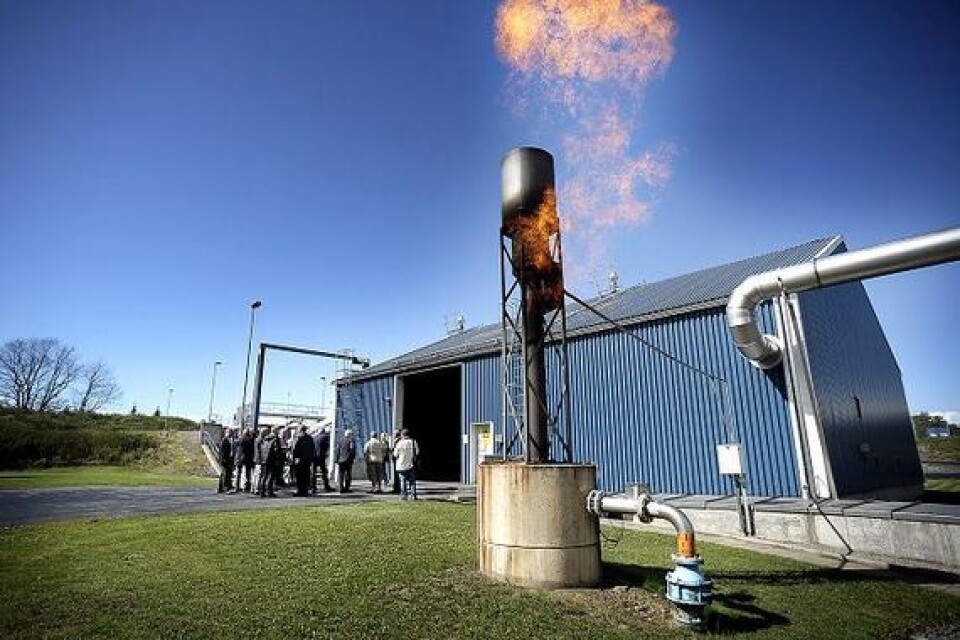 Det som brinner är biogas som inte tagits till vara. Normalt används överskottet dock som bränsle i Allöverket. Bilder:Peter Åklundh