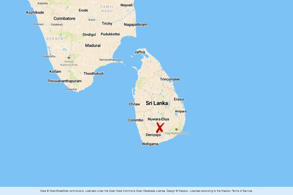 Fyra människor har omkommit i en flygkrasch i Sri Lanka.