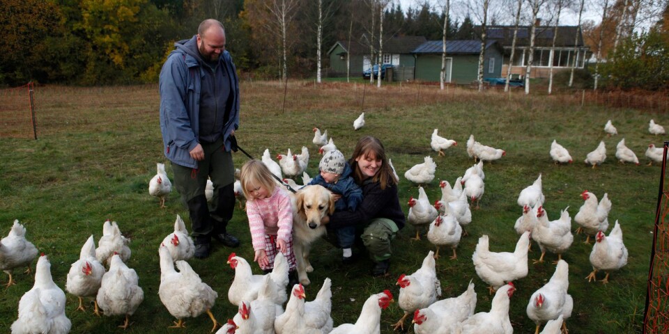 Familjen Blomberg skapar ett gott liv för människor, djur och natur