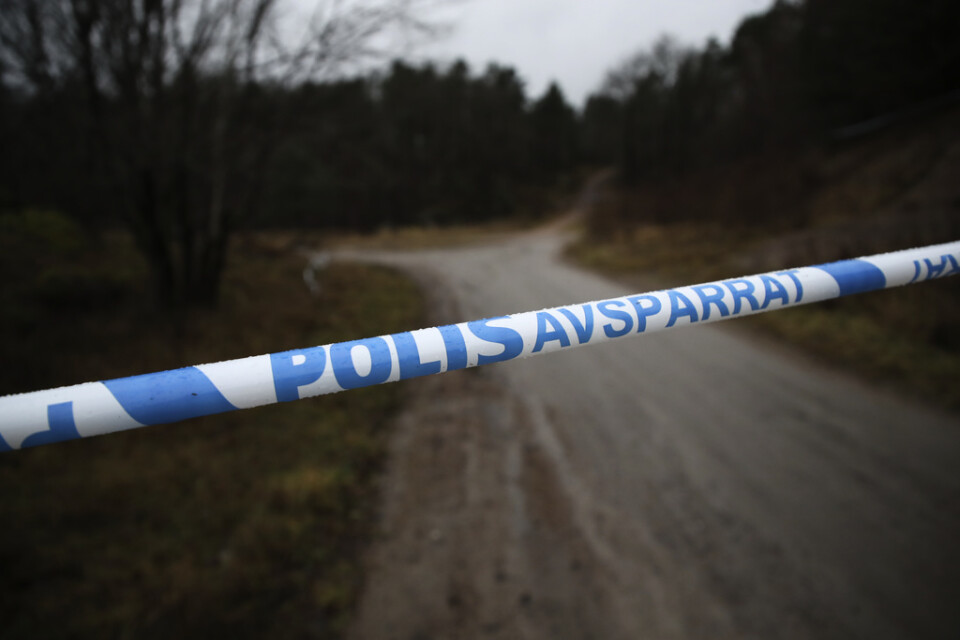 Ett skogsområde utanför Uddevalla som spärrades av i samband med sökandet av den 17-åriga flickan, Arkivbild