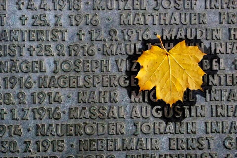En massgrav i Flandern. Bilden är tagen på den tyska krigskyrkogården i den belgiska byn Langemarck.