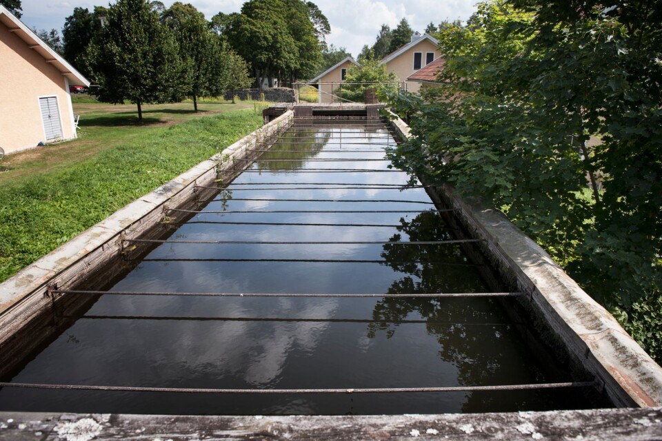 "Den senaste undersökningen från Som-institutet i Göteborg visar att 84 procent är för vattenkraften i hela landet.”