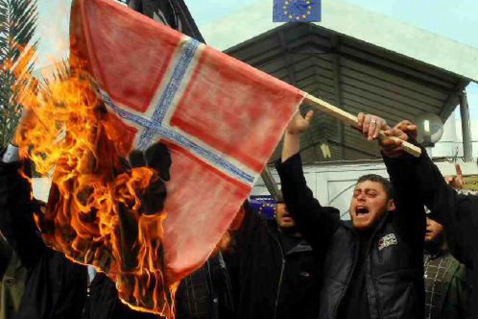 Broderland under attack. Ett angrepp på Danmark är ett angrepp på oss. Foto: PRESSENS BILD