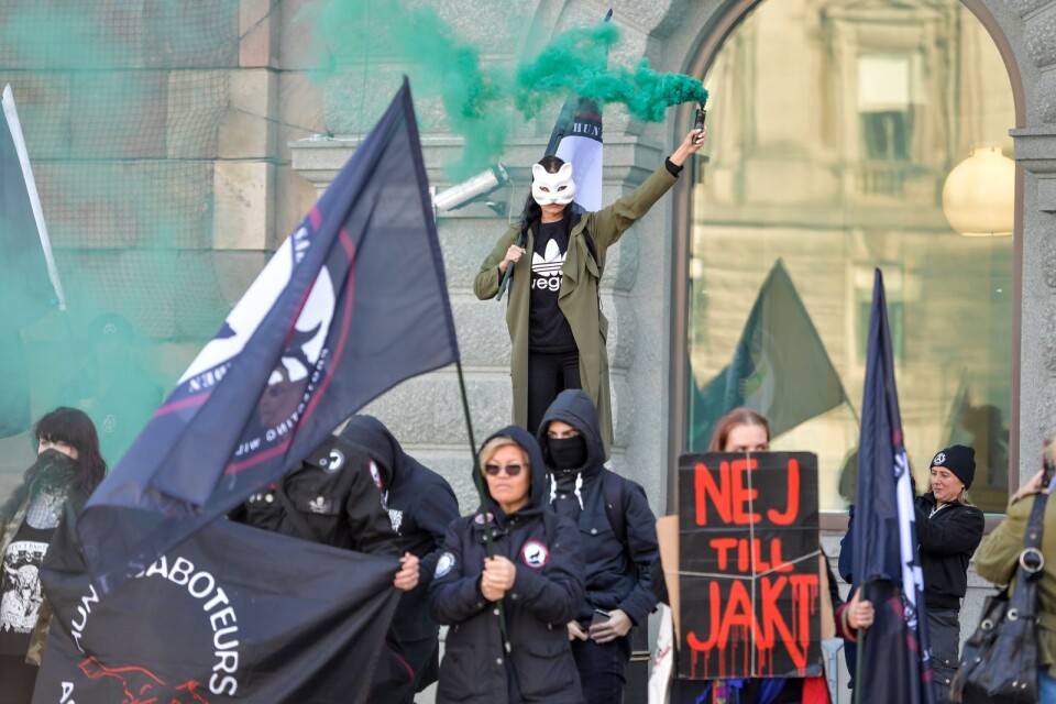 Maskerade djurrättsaktivister demonstrerar i Stockholm. Demonstranterna på bilden saknar direkt koppling till texten.