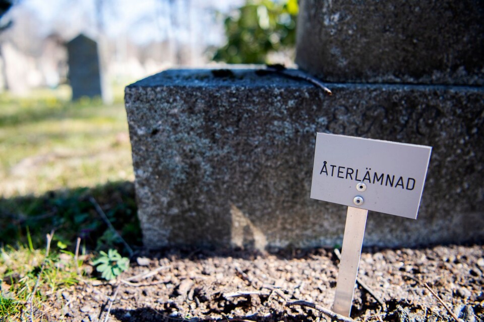 Kyrkofullmäktigeledamot Willy Persson (OkR) vill att företag anlitas för att plocka bort gravstenar på återlämnade gravplatser i Ronneby kommun.