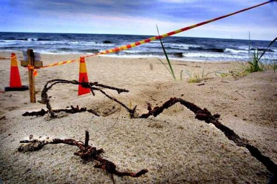Varning! Massor av lösa, rostiga taggtrådsbitar har påträffats i sanden vid en nedgång till badstranden mellan Juleboda och Rigeleje.Bild: LASSE OTTOSSON