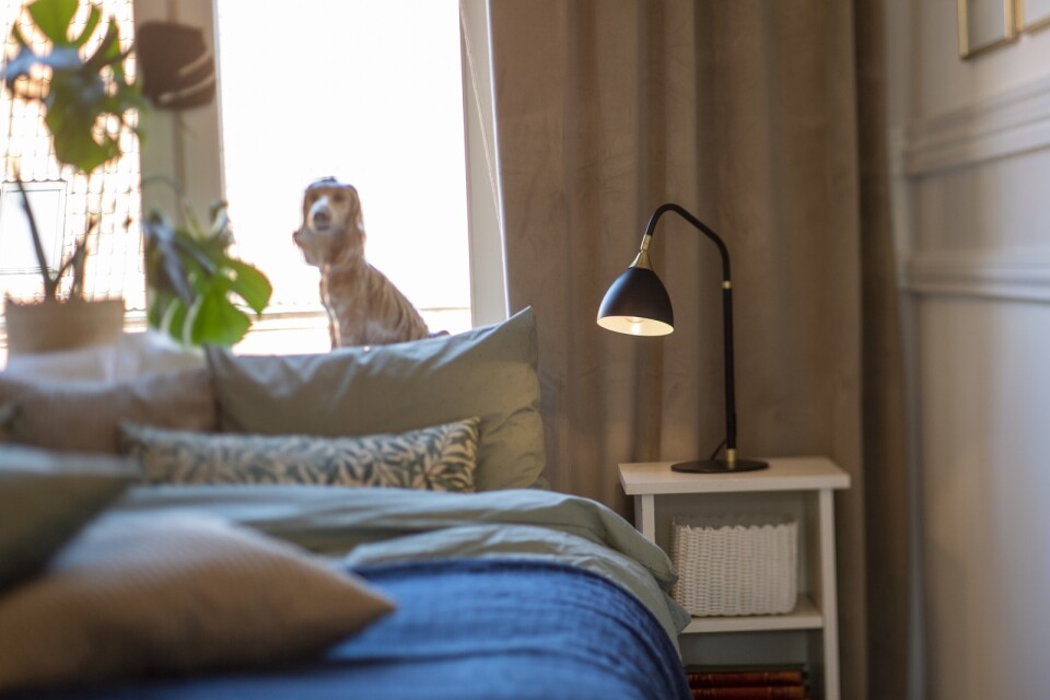 Porslinshunden hade stått i Camillas retrobutik länge innan hon hittade rätt plats för den – i tvåans sovrum.