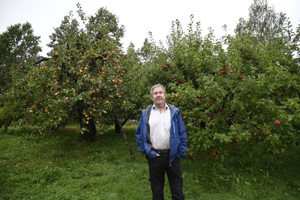 Leif Edvardssons äppelodling är, enligt honom själv, inte modern, men anrik - hans farfar köpte gården för 100 år sedan.