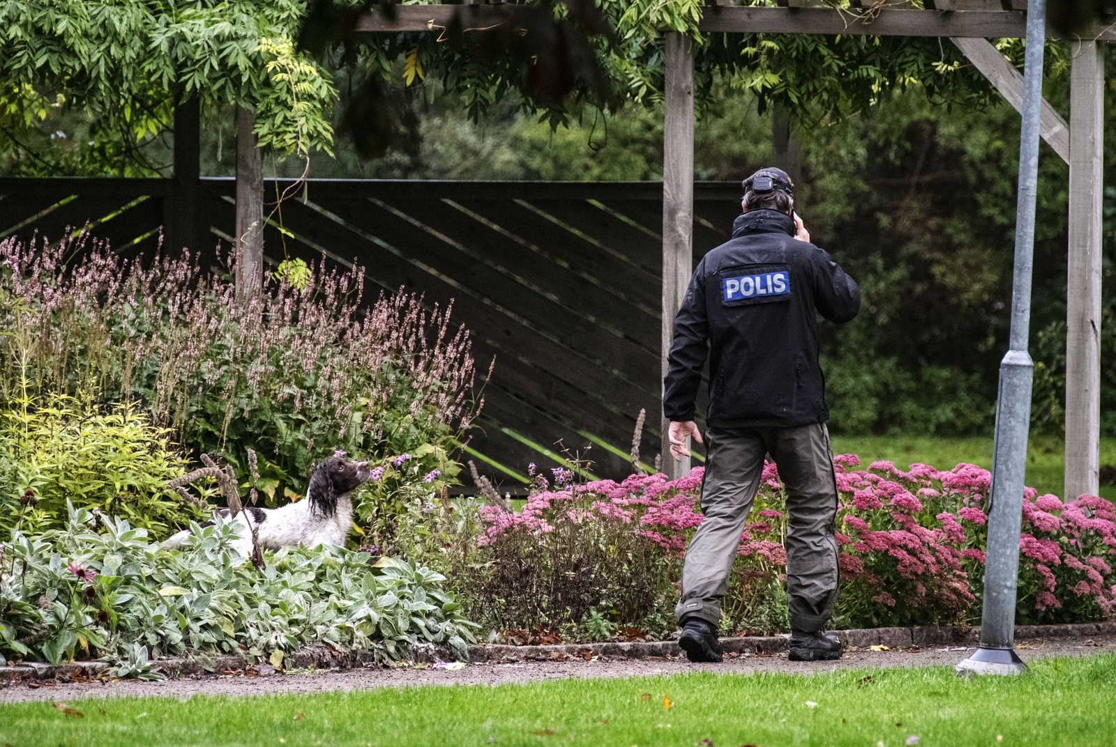 Polisen söker med vapenhund vid Egnahem i Kristianstad efter att en person har skjutits i benet på måndagsmorgonen. Larmet kom 03.34 och polisen fann en person som var skottskadad. En plats i ett bostadsområde spärrades av. 
Foto: Johan Nilsson / TT