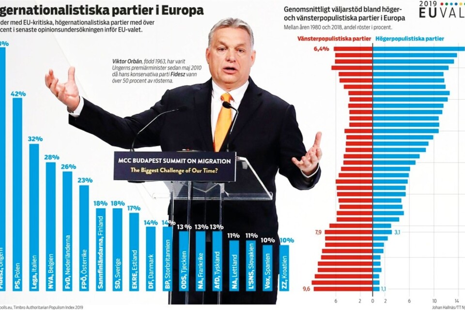 De EU-kritiska, högernationalistiska partierna i Europa väntas skörda stora framgångar i valet till EU-parlamentet.