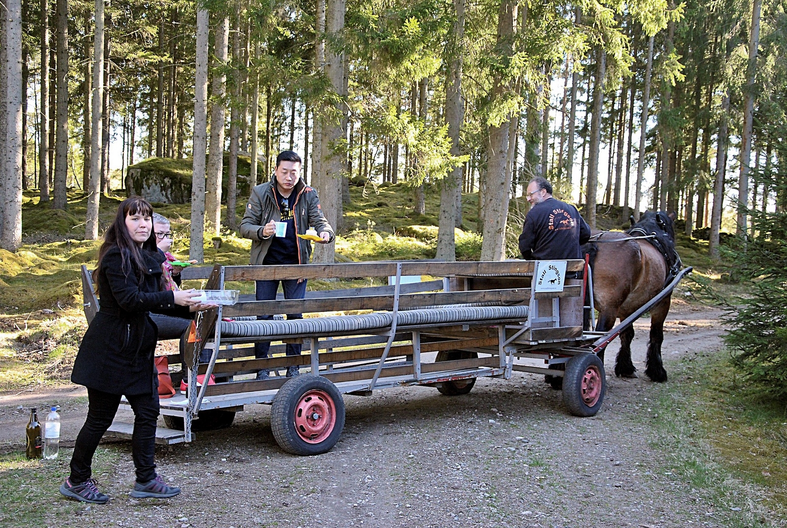Häst och vagn genom Göingeskogen är lagom exotiskt.