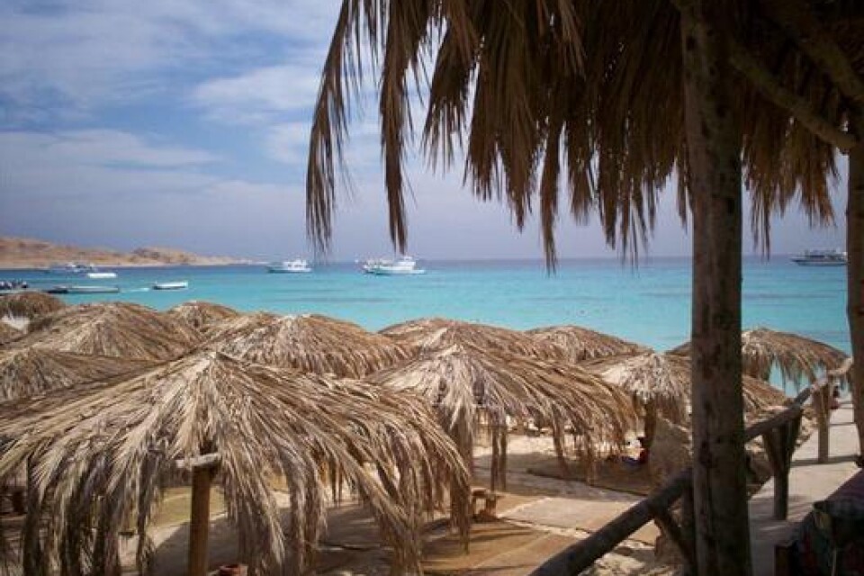 Här är en bild från Mahmaya, ett naturresavat utanför Hurghada i Egypten.