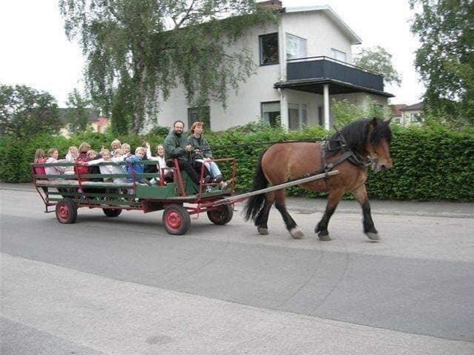Stall Stingson bjuder på åktur med häst och vagn i Killeberg på lördag. FOTO: PRIVAT