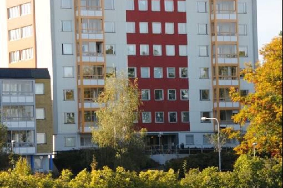 SVÅR NEDSKRÄPNING. Ronnebyhus låter nu ett bevakningsföretag rondera i bostadsområdet för att få bukt med bedskräpningen i området.