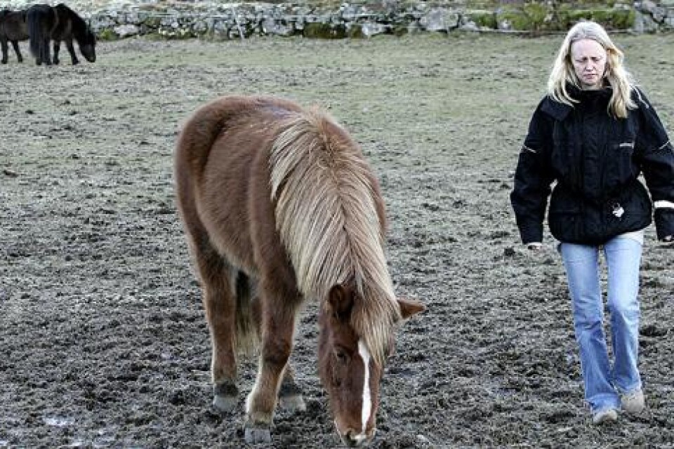 Marie Lundfeldt har svårt att ätervända till den plats där hennes häst plågades efter en misslyckad avlivning.