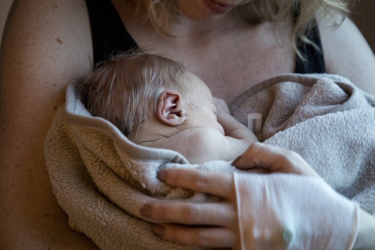 Bottenrekord: Färre nyfödda än på mer än 50 år
