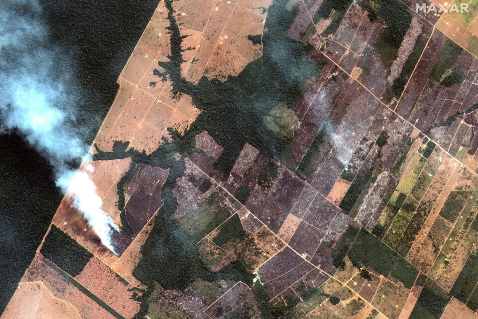 Satellitbild från 15 augusti visar bränder i delstaten Rondonia.